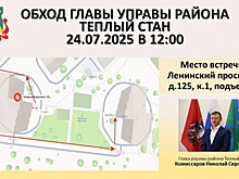 В Теплом Стане пройдет обход территории 24 июля