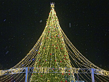 В Петербурге у станции метро «Юго-Западная» установили новогоднюю ель