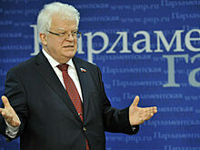 Чижов назвал голосование в ОЗХО очевидным замыслом против России