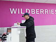 Генпрокуратуру попросили проверить Wildberries на незаконную продажу вейпов