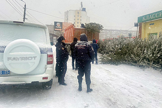 Полицейские изъяли несколько тысяч новогодних елок в Челябинской области