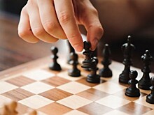 Шахматный мастер-класс организуют 22 сентября в библиотеке №193