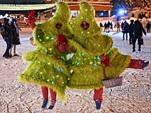 Новогодние декоративные растения подорожали в среднем на 20 процентов