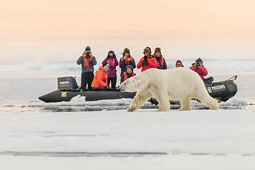 В России будут развивать арктический туризм