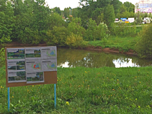 В Можге благоустроят Шиловский пруд