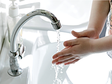 Как спастись от смертоносного вируса Нипах