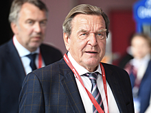 Экс-главред газеты Bild извинился перед Шредером