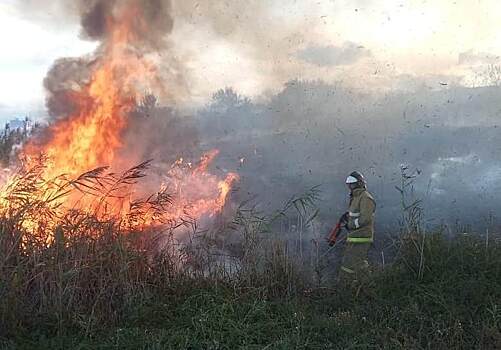 Из-за брошенного окурка в хуторе под Анапой произошел сильный пожар