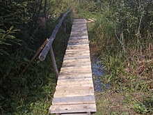 Выставку живописца Владимира Рогачева открыли в Доме культуры «Юбилейный»