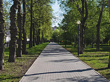 Белгородцам предложили выбрать общественные пространства для благоустройства в 2025 году