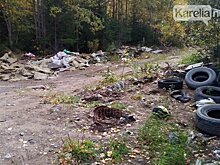 Минприроды Карелии планирует заставить Прионежскую мэрию через суд убрать свалку в Лососинном 