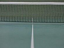 Юные спортсмены из Бибирева сразились за победу на районном турнире по настольному теннису