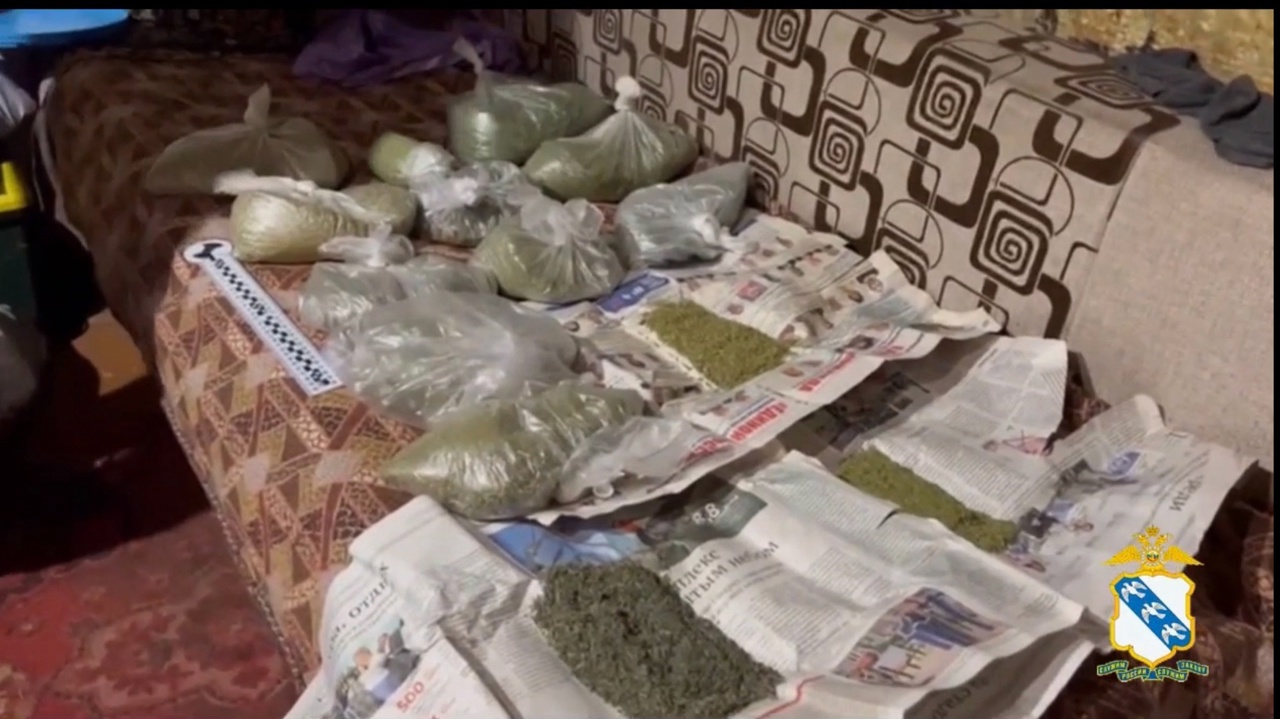 Курский наркодилер осужден на 12 лет строгого режима за сбыт наркотиков через интернет