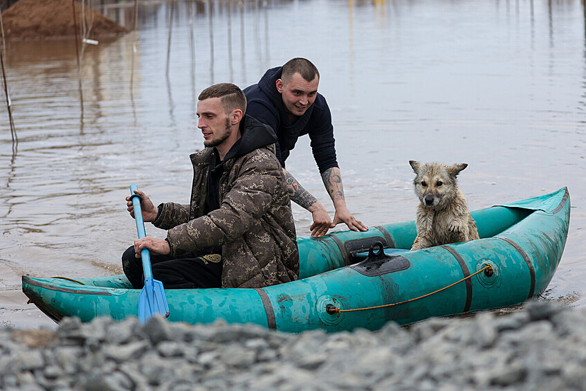 Люди с собакой в лодке на затопленной улице в микрорайоне Кузнечный в Оренбурге, 10 апреля 2024 года