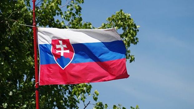 ЕП: досрочные выборы изменят отношение Словакии к поддержке ВСУ