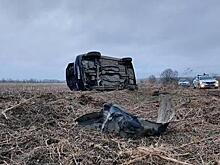Водитель без прав перевернул машину на трассе Хабаровского края