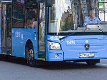 На маршрут №559 выйдут вместительные автобусы