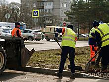 В Вологде убирают листву с улиц