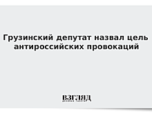 Грузинский депутат назвал цель антироссийских провокаций