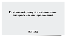 Грузинский депутат назвал цель антироссийских провокаций