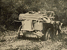 Все достоинства Алжира глазами русских путешественников в 1915 году