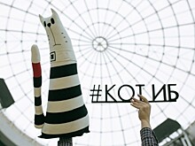 Во Владивостоке пройдёт самое масштабное событие в сфере информационной безопасности