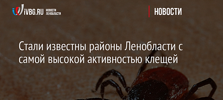 Стали известны районы Ленобласти с самой высокой активностью клещей