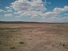 Забайкальские казаки выступили против памятника Чингисхану