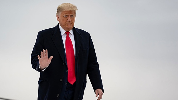 Убыточный бизнес и создание личной соцсети: чем занимается Трамп после президентства