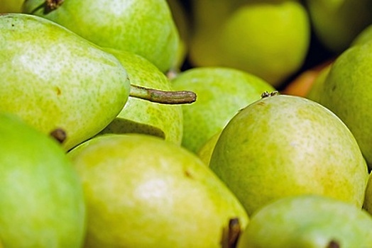Польские груши и яблоки продавали в московском центре «Фуд Сити»