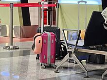 На поезд и в самолет пустят без паспорта