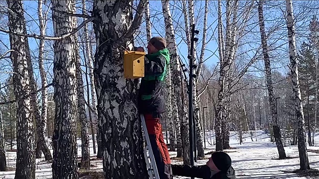 В Новосибирске в парке «Арена» установили семь скворечников
