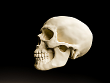 Хотела показать мир: туристку с останками мужа в багаже задержали на Крымском мосту