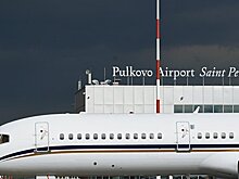 Петербуржцы предложили назвать аэропорт в честь Петра I и Бродского