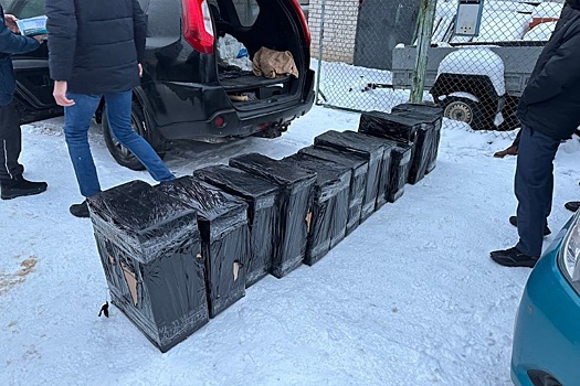 В Муроме в суд направили дело о контрафакте сигарет стоимостью 2,3 млн рублей
