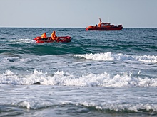 Роспотребнадзор не выявил загрязнений в рыбе из Черного моря