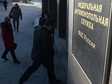 ФАС выдала предостережение совладельцу Внуково