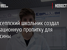 Кингисеппский школьник создал инновационную пропитку для древесины