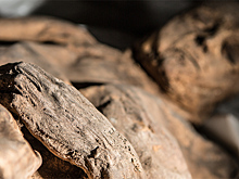 Склепные истории: вирус не приходит один