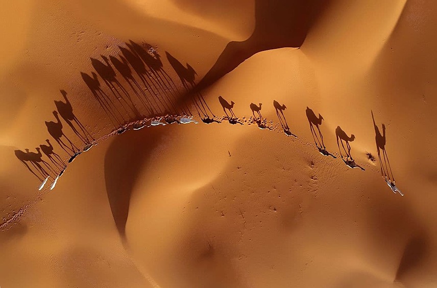 "Миграция". Пустыня Дахана, Саудовская Аравия.