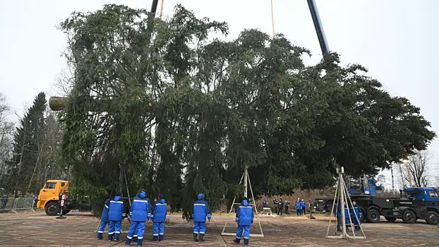 Лесничему, который нашел главную новогоднюю елку страны, подарили автомобиль