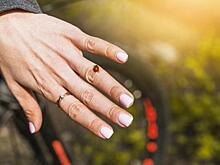 Жителей Кузбасса атакуют клопы и божьи коровки