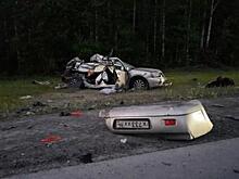 Лось стал причиной гибели югорской семьи в Уватском районе