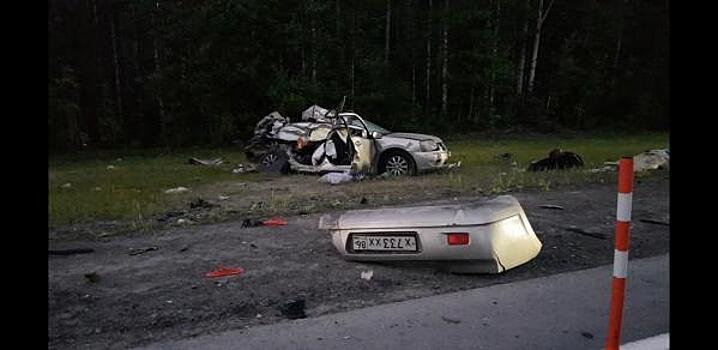 Лось стал причиной гибели югорской семьи в Уватском районе