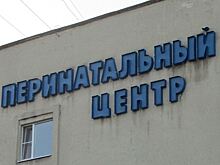 Валентина Матвиенко посоветовала липецкому роддому развивать телемедицину