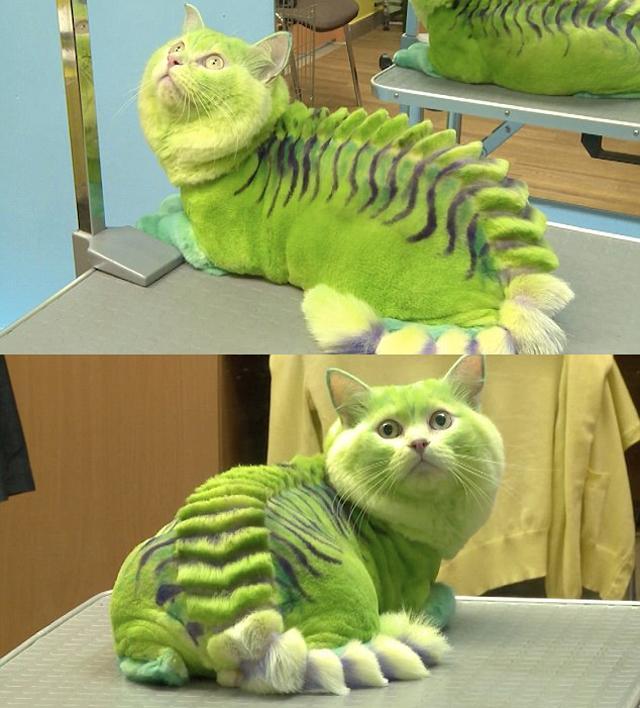 c2a4cc02340729291a1b1151a274d5ec