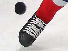 Судья, пожизненно отстраненный КХЛ, может подать апелляцию