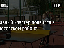 Спортивный кластер появился в Ломоносовском районе