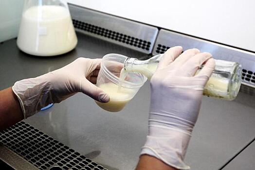 Директора молочной фирмы арестовали за производство и сбыт продукции с плесенью и стафилококком
