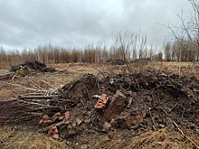 На поле фермера под Новосибирском неизвестные устроили свалку: «Сидел в засаде»
